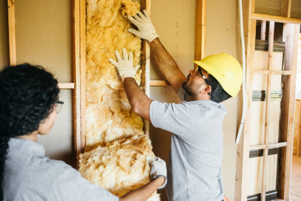 Types of Insulation We Offer in Claiborne, LA